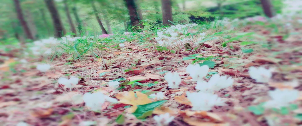 Who said an Autumn Marriage is Dull!